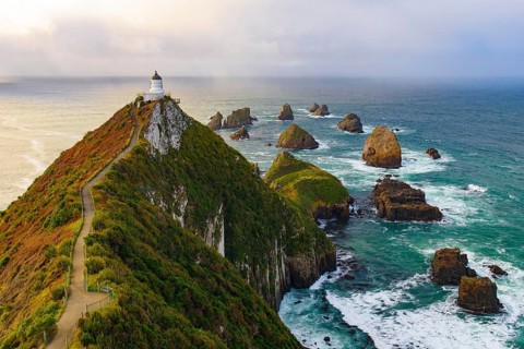 Nugget Point and lighthouse with sunrise at South Island, New Zealand, Oceania