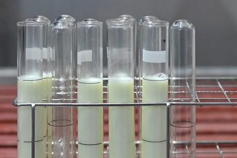Symbol photo milk samples