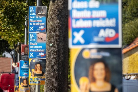 State election in Brandenburg 2024: The AfD party advertises for votes on election posters.