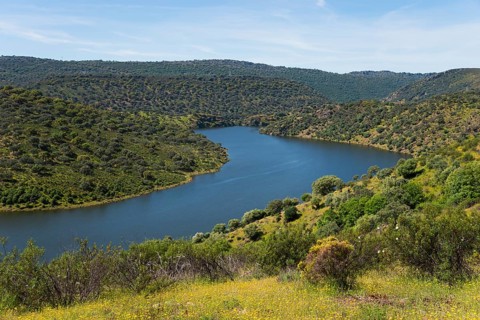 Picturesque landscape with a river surrounded by green hills and lush vegetation under a clear sky,