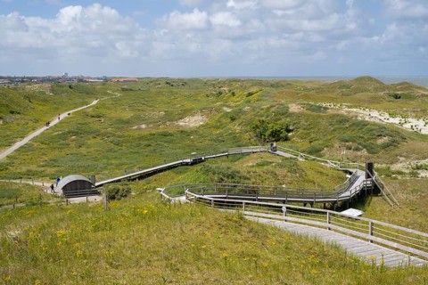 Boardwalk to the viewing dune, Lower Saxony Wadden Sea National Park, Norderney, East Frisian