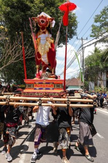 A bull on the way to the cremation site, at a ngaben (corpse cremation), Ubud, Bali, Indonesia,