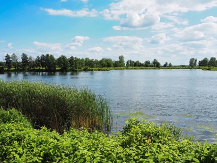 View of a lake, Roermond, Netherlands