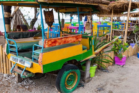 Traditional horse-drawn carriage as taxi, island, culture, everyday life, street scene, work,