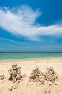 Piled up corals on the beach, blue sky, ocean, sea, nature, lonely, tourism, travel, holiday, beach
