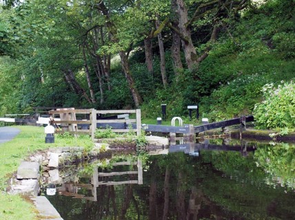 Old wooden lock gates with trees and flowers reflected in the water with mooring posts and fences