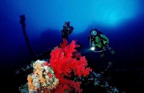 Diver on the Numibia shipwreck, Egypt, Africa, Red Sea, Africa