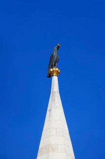 Raven with a golden ring on the Matthias Church in Budapest