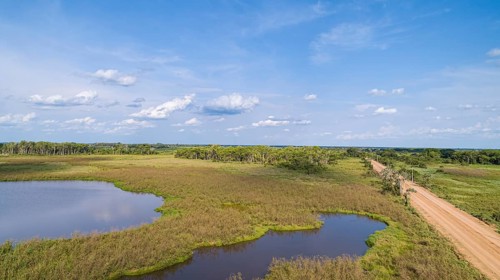Aerial view of Transpantaneira dirt road along a typical lagoon and meadow landscape, with blue