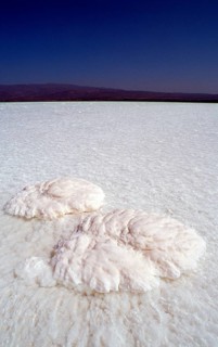 Lac Assal, Lake Assal, Djibouti, Djibouti, Africa, Afar Triangle, Africa