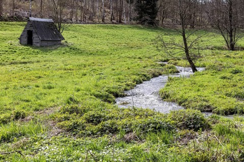 Natural course of the Selke stream in the Harz Mountains