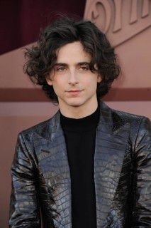 Timothee Chalamet at the Los Angeles premiere of 'Wonka' held at the Regency Village Theater in