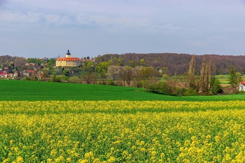 Hirschstein