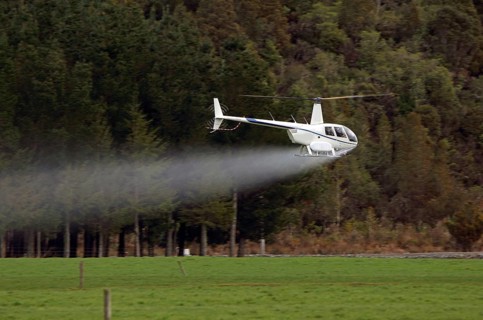 Helicopter spraying fertiliser on a crop in Westland, New Zealand, Oceania