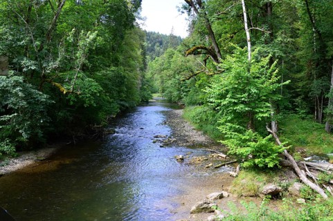 Stream in the Canyon Wutachschlucht in the Black Forest, Baden, Württemberg, Germany. Stream in the