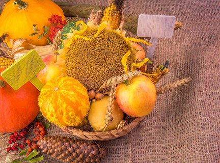 Autumn image with the harvest products from the field and forest arranged in a wicker basket, on a