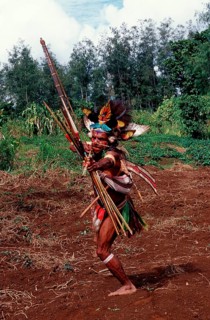 Huli wig man with bow, archer, Tari, Huli, Highlands, Papua New Guinea, Oceania