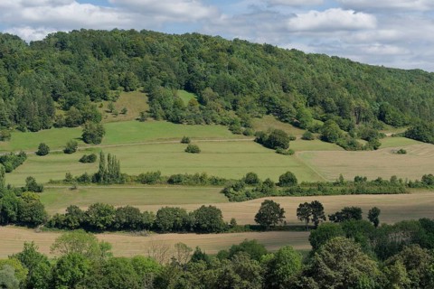 Jagst valley near Mulfingen, August, summer, Jagst slope, river slope, Jagst valley slope, Jagst,