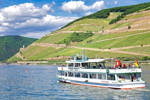 Rüdesheim, castle tour, Ehrenfels castle ruins