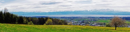 Spring meadow on Lake Constance with a view of the Alps in foehn weather, taken on the Gehrenberg