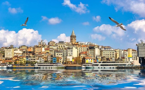 Seagulls over Golden Horn with the view on Galata Tower and Istanbul