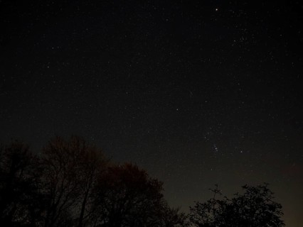 Winter night sky over Sussex, with constellations Orion, Gemini, Lupus and Taurus and silhoutted
