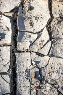 Dried out soil Lack of rain