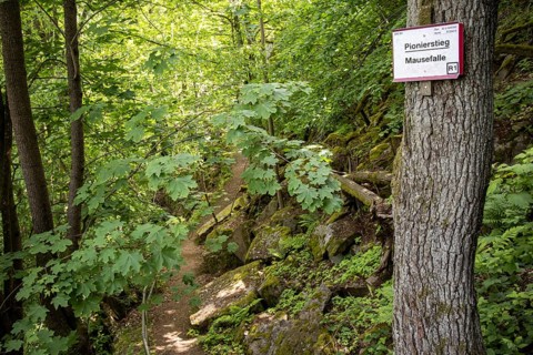 Impressions from the Bodetal Harz