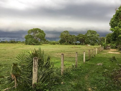 Fenced pasture land with dark clouds in background, Pantanal Wetlands, Mato Grosso, Brazil, South