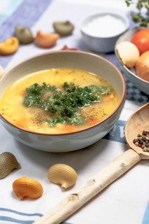 Chicken noodle soup with carrots and parsley