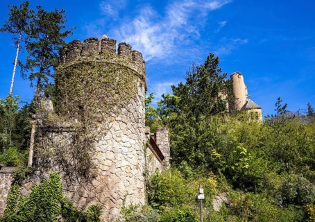 Roseburg Harz near Ballenstedt Rieder
