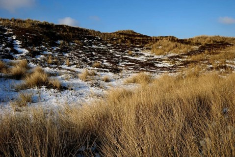 Hörnum Odde, Sylt, Schleswig-Holstein, Germany, Europe