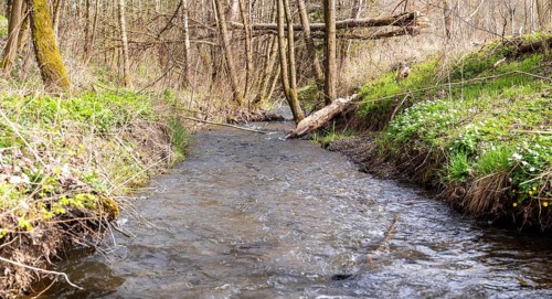 Natural course of the Selke stream in the Harz Mountains