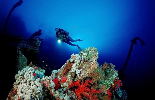 Diver on the Numibia shipwreck, Egypt, Africa, Red Sea, Africa
