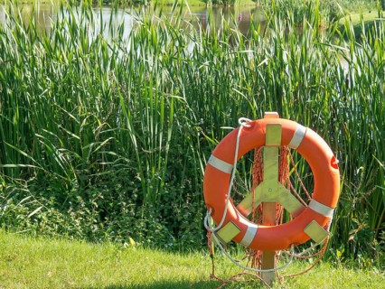 Green natural environment with orange lifebuoy in front of a small pond, papenburg, emsland,