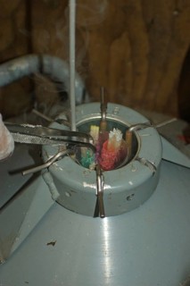 Vet removes semen straws from semen tank for artificial insemination of deer, cattle, sheep, goats
