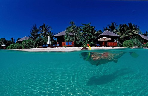 Snorkelling on the beach in front of the resort, Indonesia, Wakatobi Dive Resort, Sulawesi, Indian