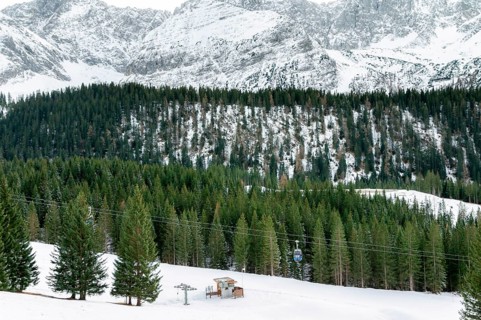 Curved foothills and the rocky Alps mountains covered by snow and green fir trees, a cableway