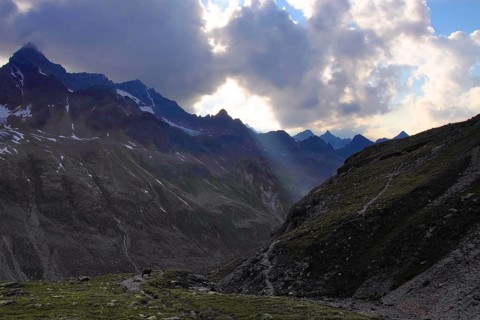 Alpine ibex and cloud rays, Ochsental, Silvretta, Vorarlberg