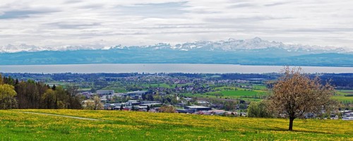 Spring meadow on Lake Constance with a view of the Alps in foehn weather, taken on the Gehrenberg