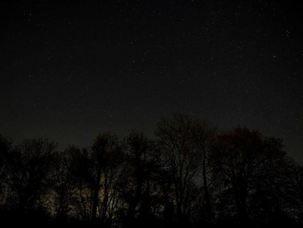 Night sky in Winter with constellations Gemini, Cancer, Lynx and light pollution behind silhouetted