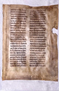 Biblical text in Latin written on vellum, 12th Century, England. Courtesy of the Reed Collection at