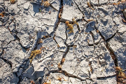 Dried out soil Lack of rain