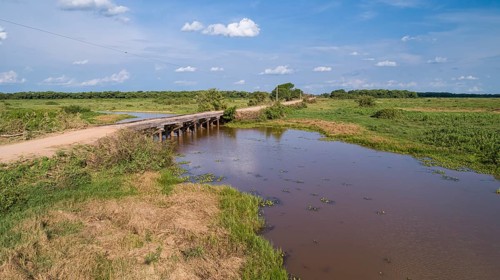 Aerial view of Transpantaneira wooden bridge crossing a river, sunny sky, Pantanal Wetlands, Mato