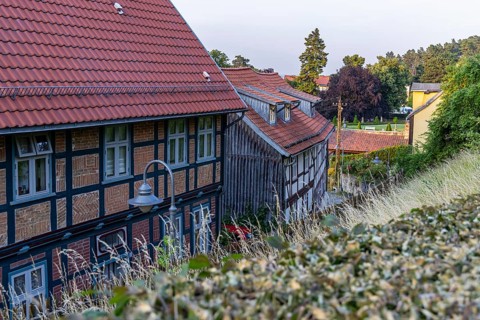 Pictures from Blankenburg Castle Park