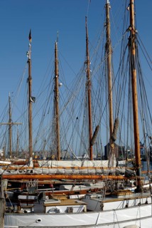 Traditional sailing ship in the museum harbour, Flensburg, Schleswig-Holstein, Germany, Europe