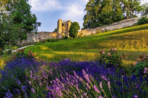 Pictures from Blankenburg Castle Park