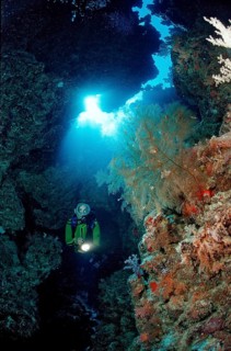 Diver in underwater cave, Egypt, Zabargad, Zabarghad, Red Sea, Africa