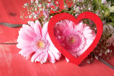 Greeting card idea with pink chrysanthemum and a red decorative heart leaned against them, on a red