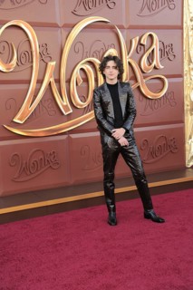 Timothee Chalamet at the Los Angeles premiere of 'Wonka' held at the Regency Village Theater in
